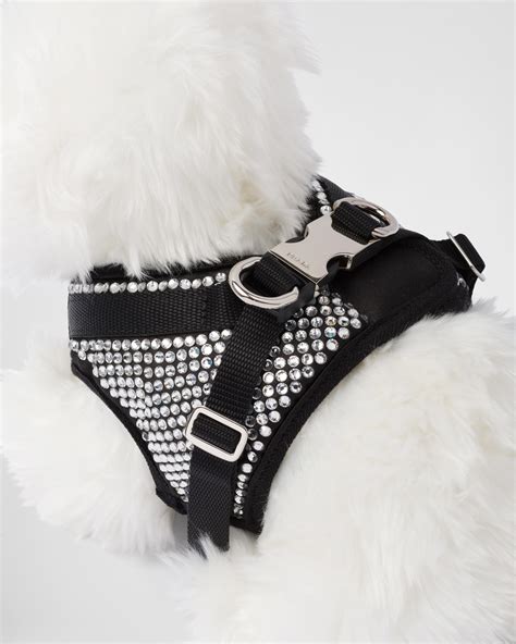 prada pet bowl|Prada pet accessories.